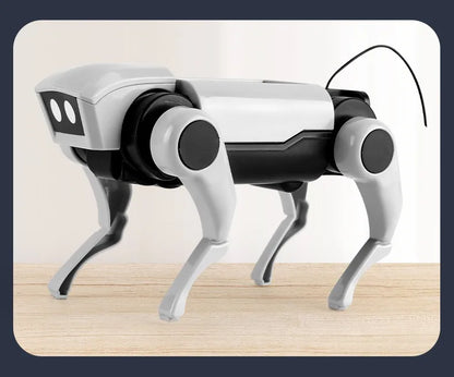 RC Robot Dog Toy for Kids – DIY Assembly Remote Control Mechanical Dog, Educational Science Model Gift for Boys