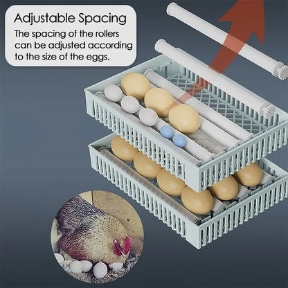 24-Egg Automatic Incubator — Touch Control Hatchery Machine for Chicken, Duck, Quail & Bird Eggs