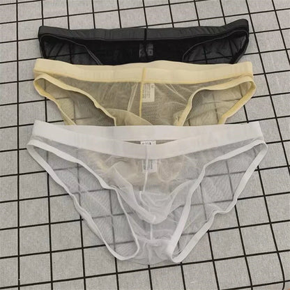 Ultra-Thin Transparent Mesh Men's Briefs - Quick-Dry See-Through Underwear Plus Size