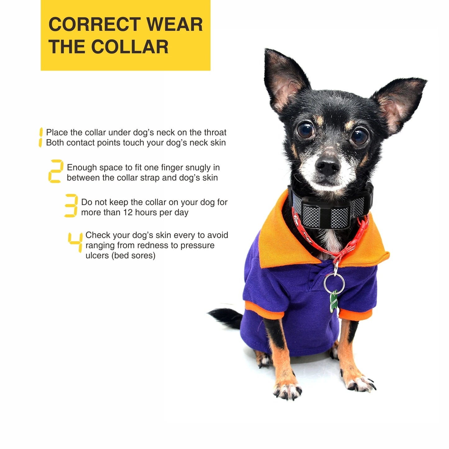 Rechargeable Small Dog Bark Control Collar – Automatic Anti-Bark Training Collar with Beep, Vibration & Shock Modes for Puppy and Dogs