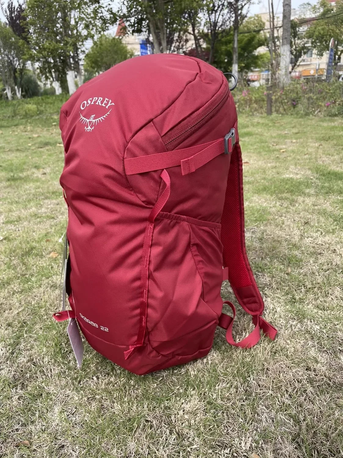 Osprey Professional Outdoor Backpack - Beetle Kitty 22L & 30L Hiking & Camping Bag for Men & Women, Waterproof