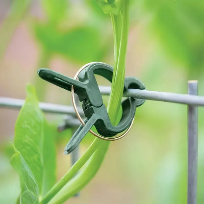 50/20/10pcs Adjustable Plant Clips – Reusable Plastic Garden Supports for Flowers, Vines, Vegetables & Tomatoes