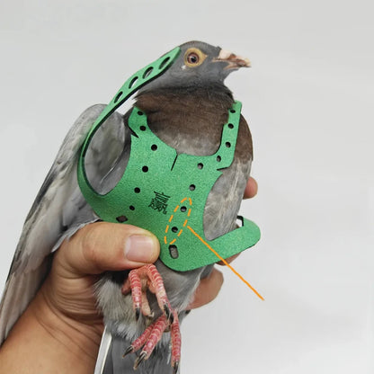 Parrot Bird Harness & Leash - Anti-Bite Flying Training Rope for Outdoor Use