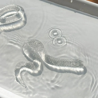 Transparent Snake Squishy Toy - Soft TPR Stress Relief Squeeze Figurine