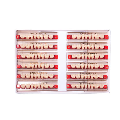 16/12 Set Dental Denture Teeth Model Kit, Upper & Lower Anterior Synthetic Polymer Teeth A2 A3 for Dental Education & Training