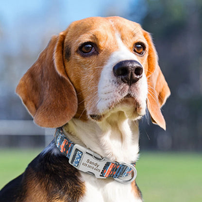 Adjustable Nylon Dog & Cat Collar – Personalized ID Collar with Engraved Name Buckle, Anti-Lost for Small, Medium & Large Pets