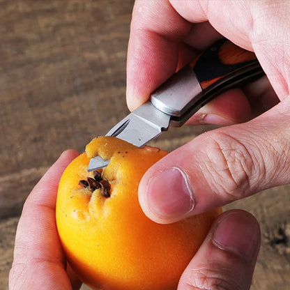 Mini EDC Folding Knife - Sharp Camping and Outdoor Pocket Tool, Key Pendant Gift for Dismantling and Express Cutting