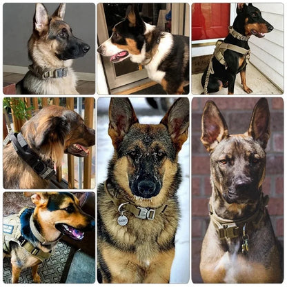 Nylon Tactical Dog Collar with Handle – Adjustable Durable Collar for Medium & Large Dogs Pet Accessories
