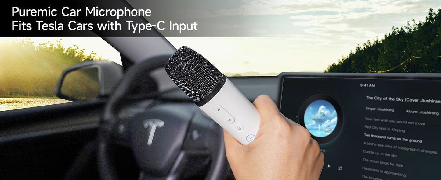 Q1 Tesla Wireless Handheld Microphone – Karaoke Mic with 4 Joy Effects, Rechargeable, Type-C Receiver & USB Converter