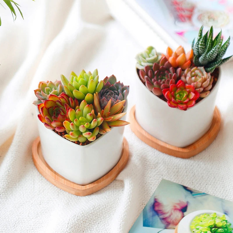 Mini Bamboo Tray Coaster – Wooden Saucer Plate for Flower Pots, Cups, and Coffee, Creative Kitchen & Home Decor Mat