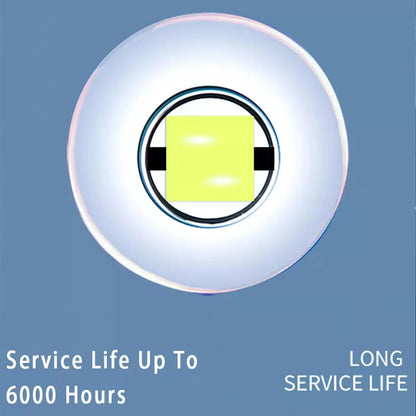 P13.5S E10 BA9S LED Flashlight Bulb - 5W White Upgrade Replacement Lamp for Maglite Torches DC6V-24V