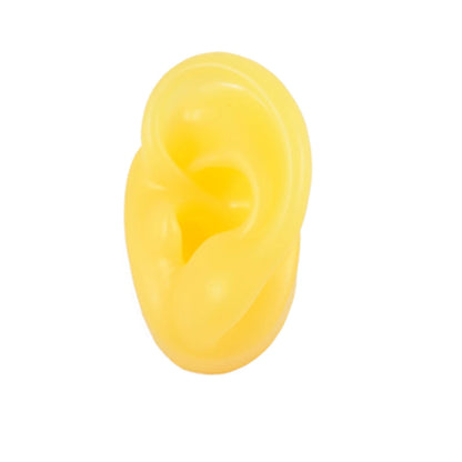 Soft Silicone Ear Model Display Stand – Tattoo Practice & Body Piercing Jewelry Holder with Acrylic Earring Display Kit for Training & Showcase