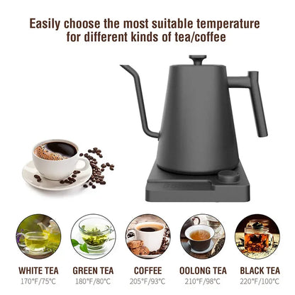 1200W Gooseneck Electric Kettle with Temperature Control - Coffee & Tea Brewing Pot (110V/220V)