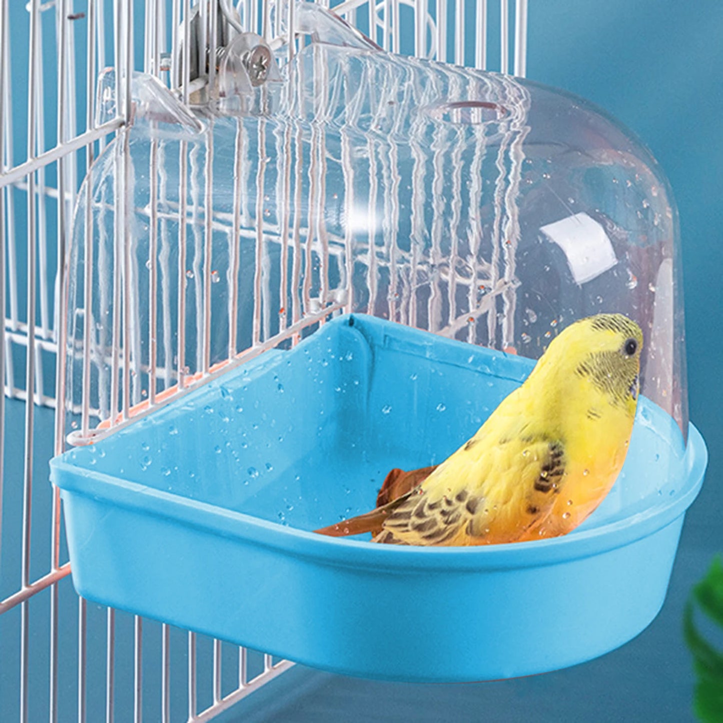 Easy-to-Install Pet Bird Bath Box Shower - Water Bowl Caged Parrot Bathing Tub for Small Birds like Budgerigars, Lovebirds, and Canaries