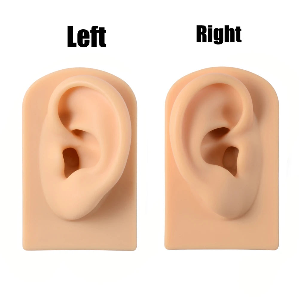 Soft Silicone Ear Nose Mouth Practice Model – Tattoo & Piercing Jewelry Display Stand with Acrylic Earring Holder Kit for Training & Showcase