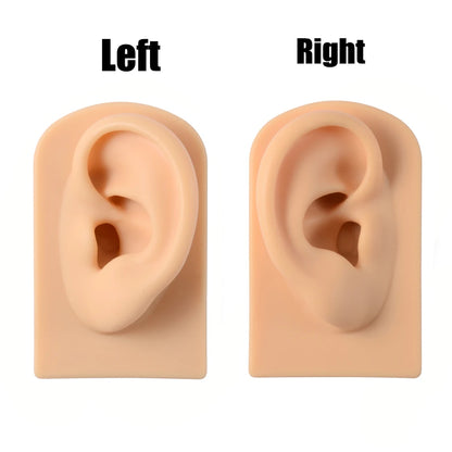 Soft Silicone Ear Nose Mouth Practice Model – Tattoo & Piercing Jewelry Display Stand with Acrylic Earring Holder Kit for Training & Showcase