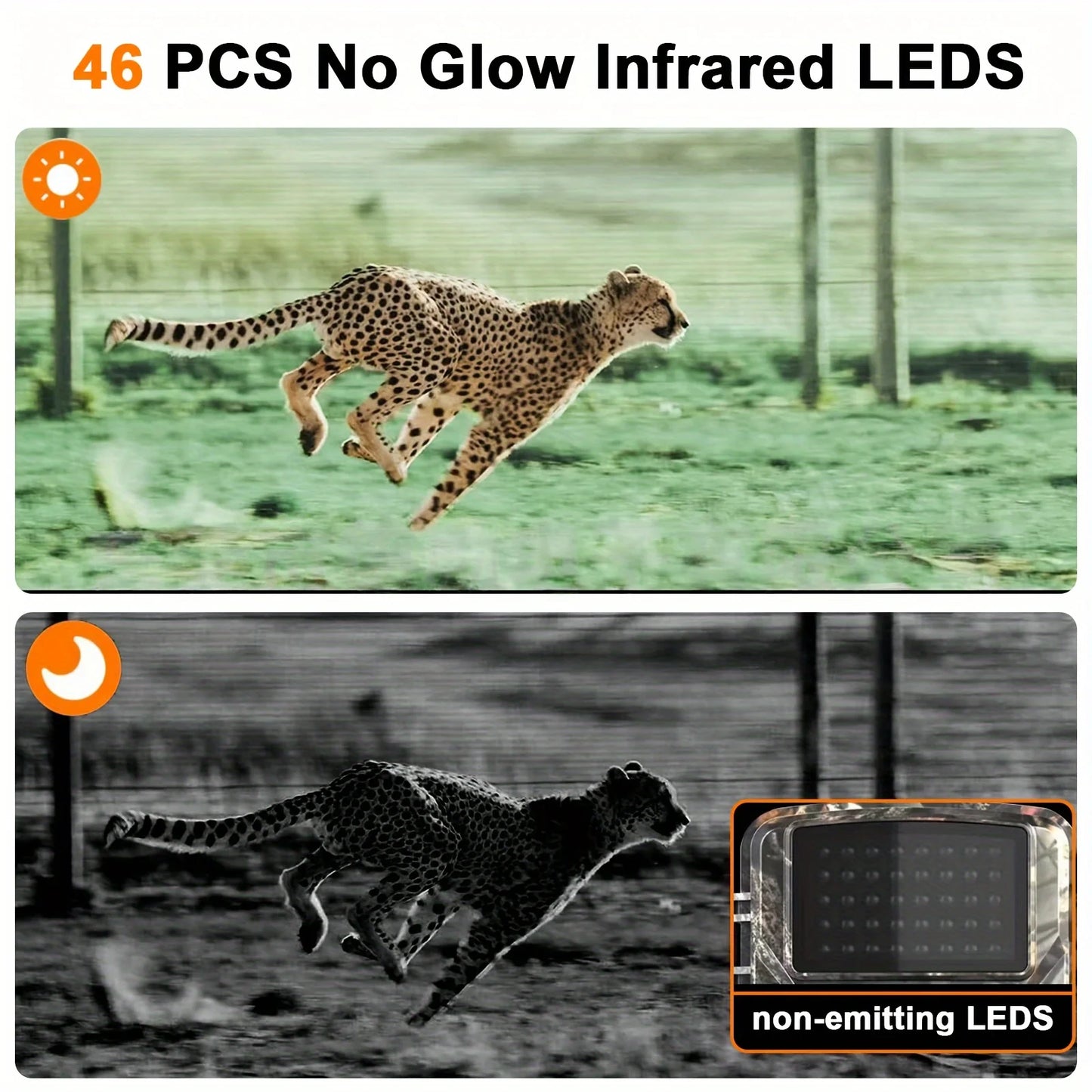 Wildlife Hunting Trail Camera - Infrared Night Vision Motion Activated Outdoor Game Surveillance Cam