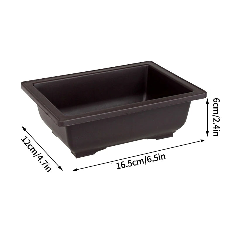 Purple Clay Succulent Plant Pots – Outdoor Garden Bonsai Planters, Rectangular & Square