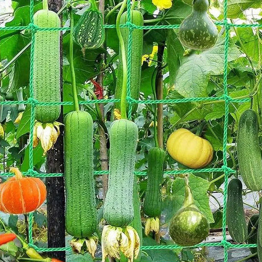 Heavy Duty Plant Trellis Netting - Thick Nylon Climbing Support Mesh for Cucumber, Tomato & Grape Gardens