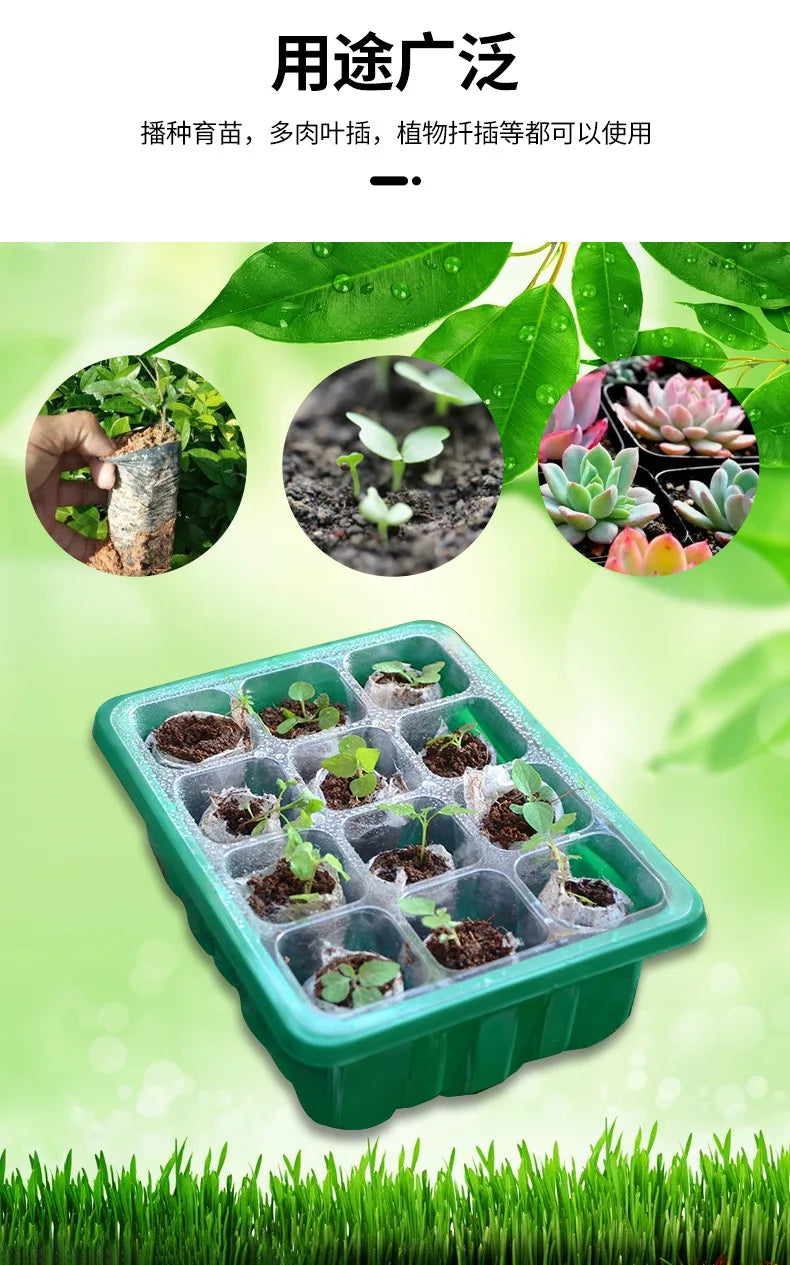12-Well Plastic Seedling Tray | Insulated Pot for Succulent & Seed Sowing