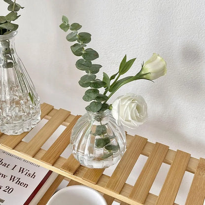 Retro Hydroponic Transparent Glass Vase — INS Style Flower Vase for Desktop, Home, Wedding & Party Decoration