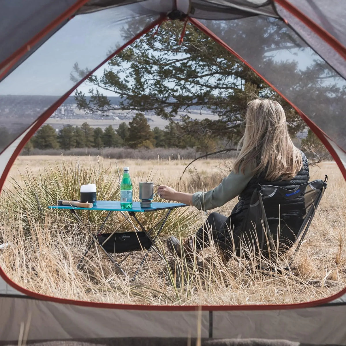 WESTTUNE Ultralight Camping Chair - 780g Aluminum Alloy Mesh Chair for Hiking, Backpacking & Travel