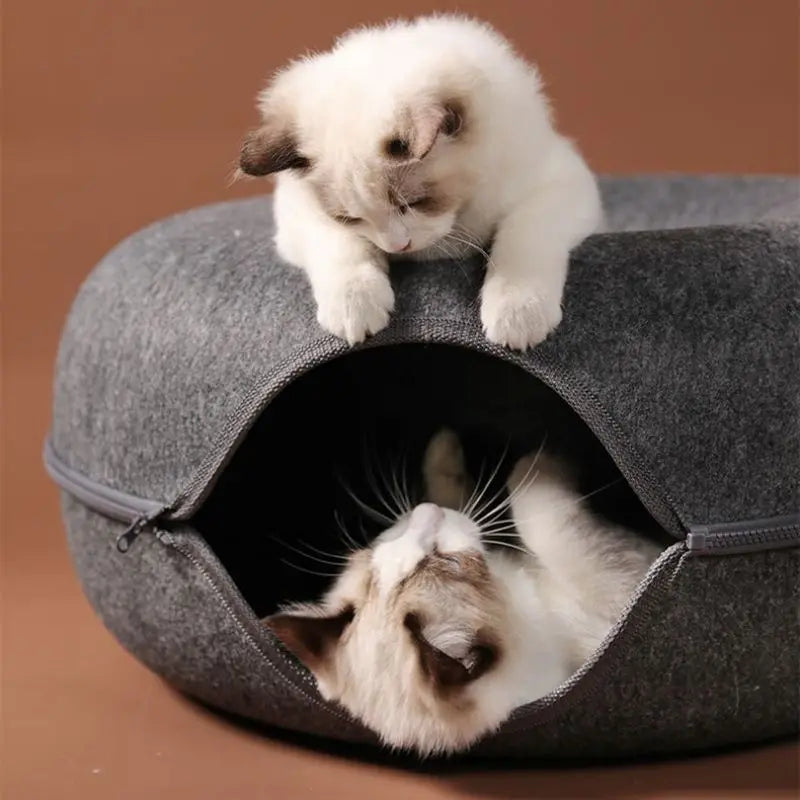 Cat Tunnel Bed & Interactive Toy: Felt Pet House for Cats, Large Exercising Toy with Removable Villa - Fun & Comfort for Kittens
