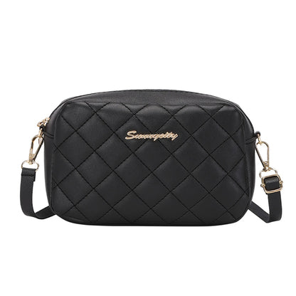 2024 Tassel Small Messenger Bag for Women - Trendy Embroidery Camera Shoulder Bag with Chain Crossbody Style