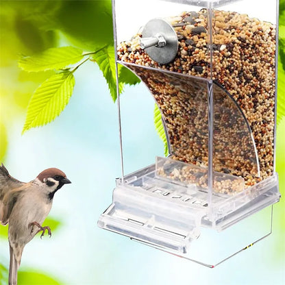 Automatic Bird Feeder: No-Mess Parrot Feeder & Drinker - Acrylic Seed Container for Small & Medium Parakeets