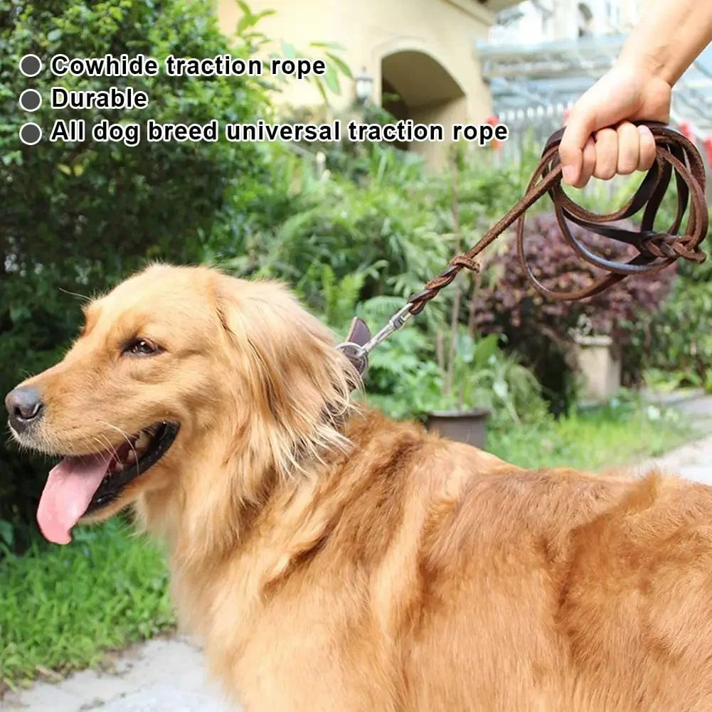 Genuine Leather Dog Leash – Braided Walking & Training Lead for Medium & Large Dogs, Brown & Black