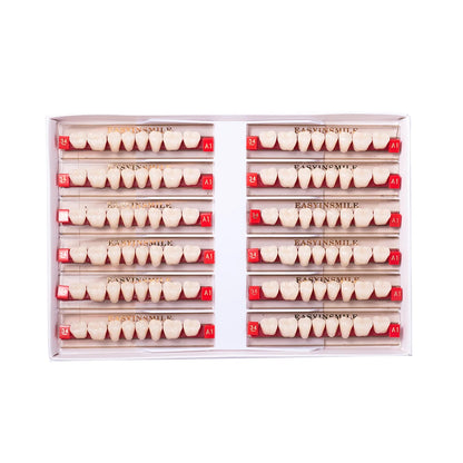 16/12 Set Dental Denture Teeth Model Kit, Upper & Lower Anterior Synthetic Polymer Teeth A2 A3 for Dental Education & Training