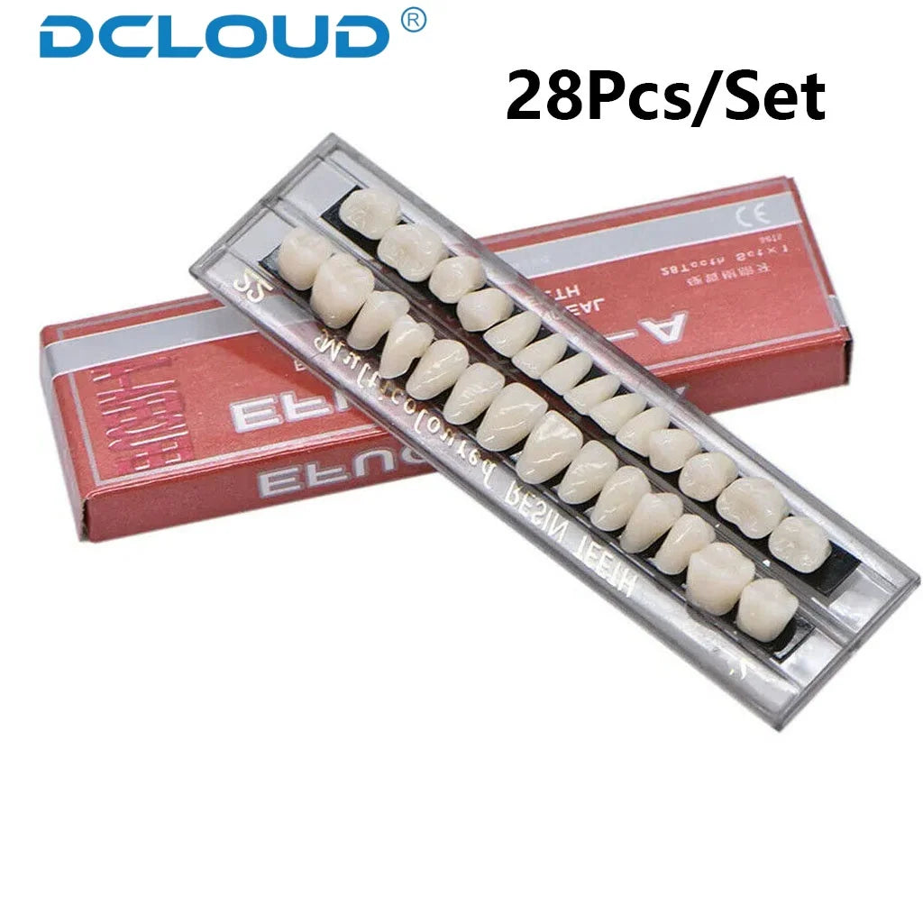 28-Teeth Dental Acrylic Resin Denture Set – Upper & Lower False Teeth Model (A2/A3, Shade 22# & 23#) for Dental Education & Research