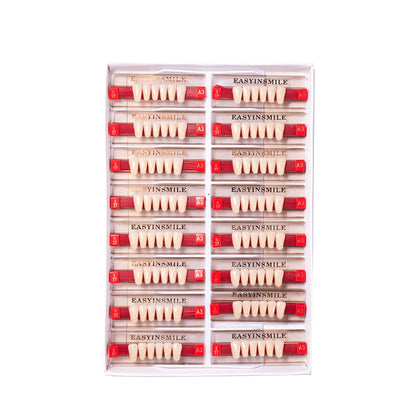 16/12 Set Dental Denture Teeth Model Kit, Upper & Lower Anterior Synthetic Polymer Teeth A2 A3 for Dental Education & Training
