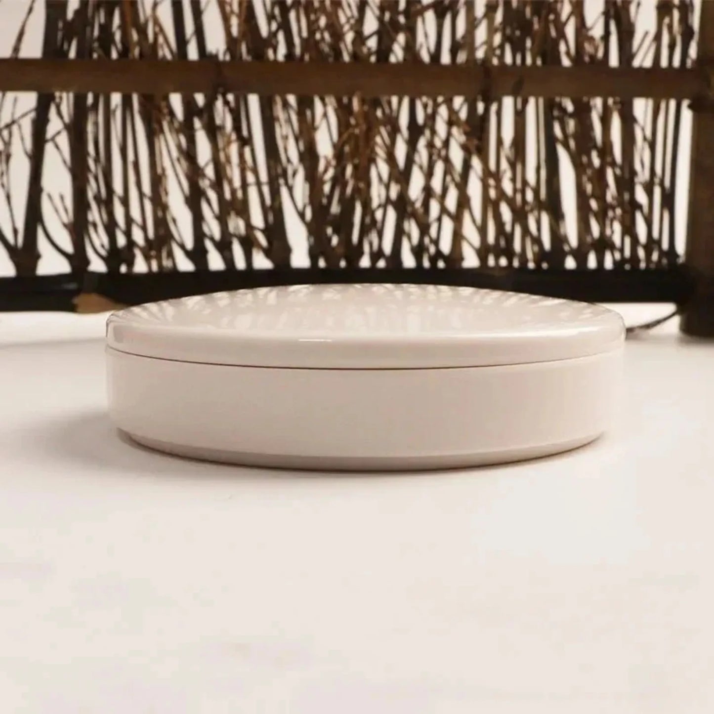 Imitation Porcelain Round Paint Palette with Lid – White Acrylic & Watercolor Tray for Artists