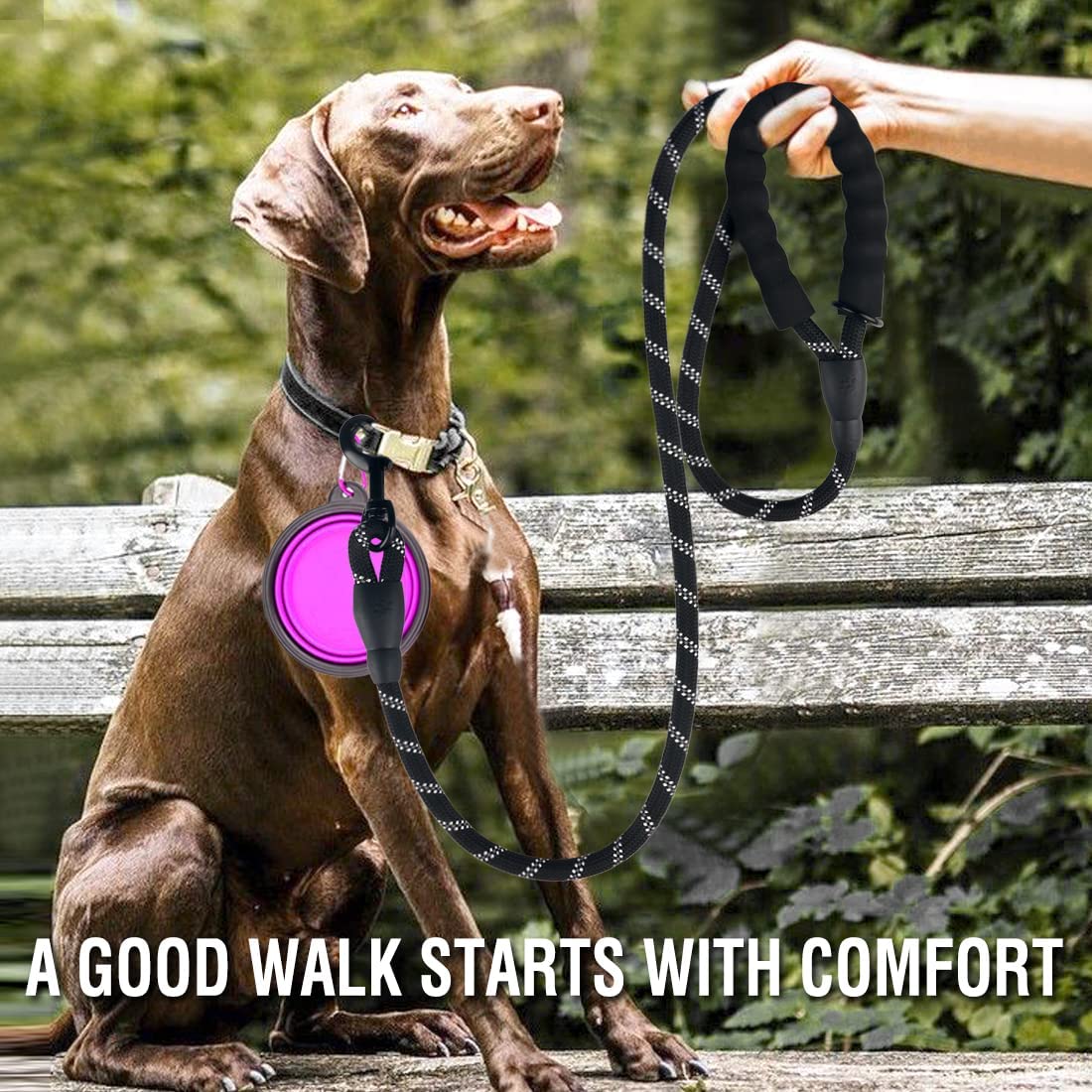Strong Reflective Dog Leash – Durable Pet Leash for Small, Medium & Large Dogs, Suitable for Pulling & Walking Golden Retrievers
