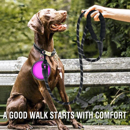 Strong Reflective Dog Leash – Durable Pet Leash for Small, Medium & Large Dogs, Suitable for Pulling & Walking Golden Retrievers