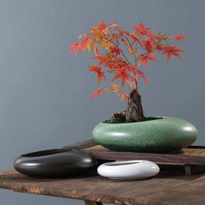 Coarse Pottery Bonsai Plant Pot - Green Succulent & Hydroponic Vase for Home Garden Decor