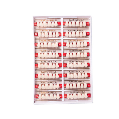 16/12 Set Dental Denture Teeth Model Kit, Upper & Lower Anterior Synthetic Polymer Teeth A2 A3 for Dental Education & Training