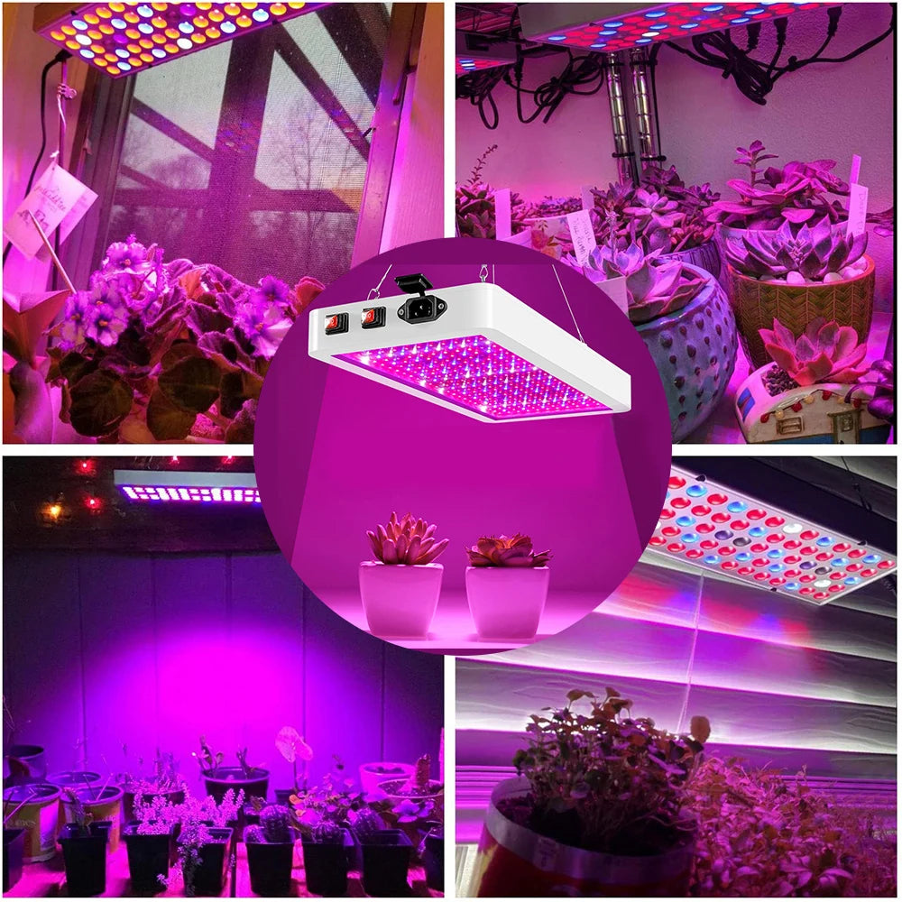25W-80W Full Spectrum Grow Plant Lights: 81-312LED Greenhouse Growing Lamp for Indoor Plants - Ideal for Veg, Hydroponic, and Phytolamp Use (US/EU/UK)