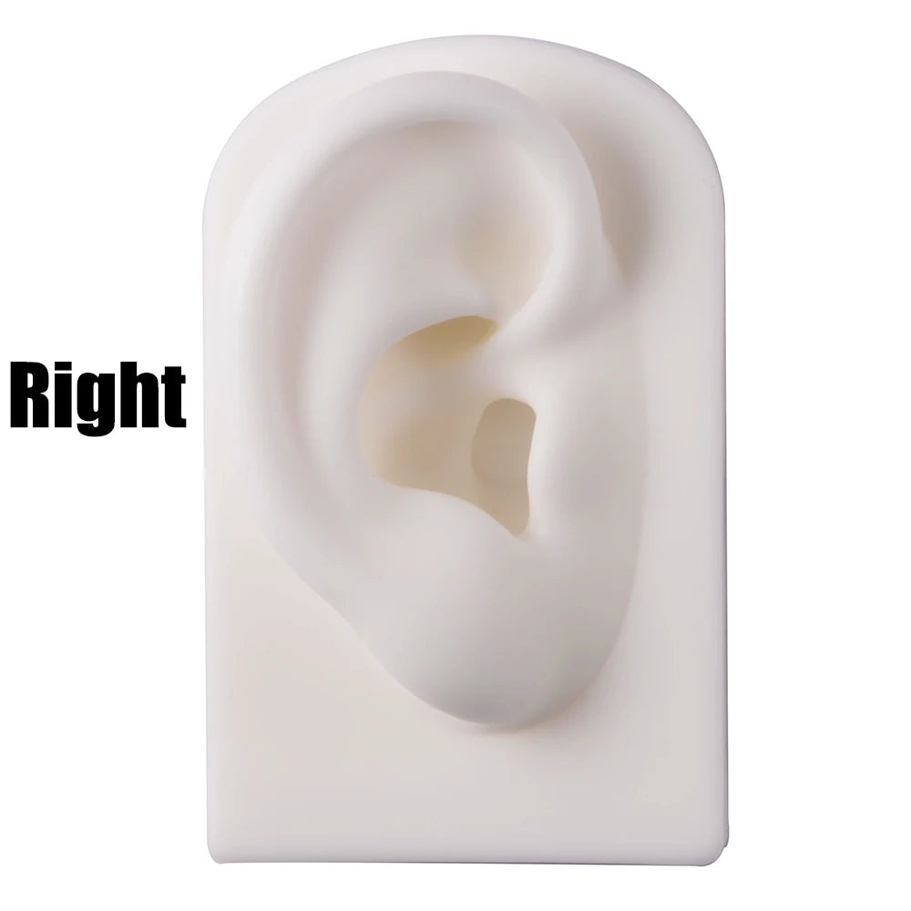 Soft Silicone Ear Nose Mouth Practice Model – Tattoo & Piercing Jewelry Display Stand with Acrylic Earring Holder Kit for Training & Showcase