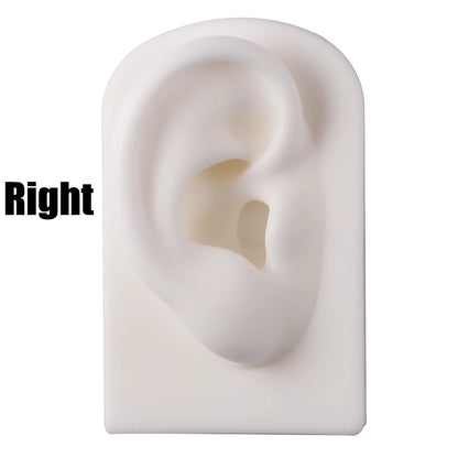 Soft Silicone Ear Nose Mouth Practice Model – Tattoo & Piercing Jewelry Display Stand with Acrylic Earring Holder Kit for Training & Showcase