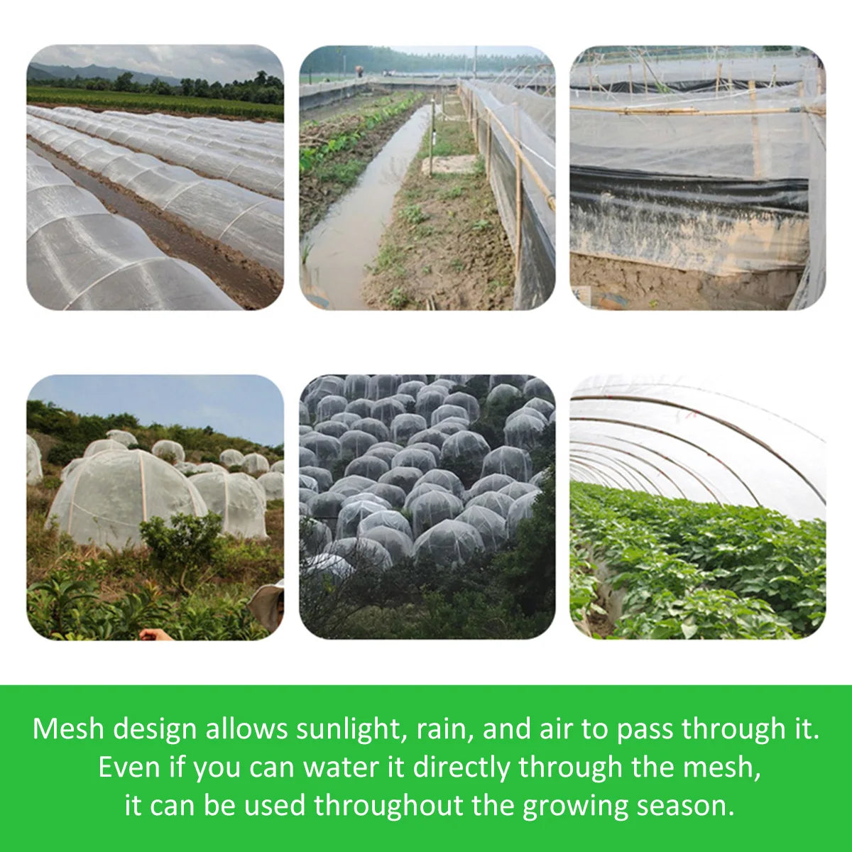 Garden Insect Protection Net – 60 Mesh Pest Control Cover for Plants, Vegetables, Fruits, Flowers & Greenhouse, Anti-Bird Protective Net