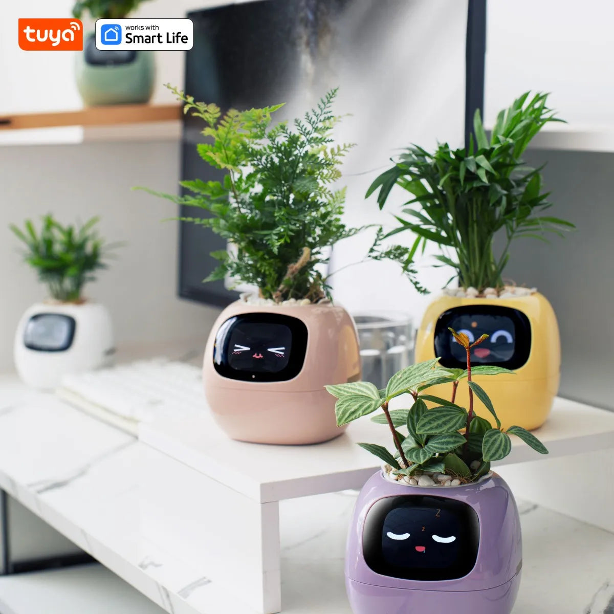 Tuya Ivy Smart Planter – AI-Enhanced with 7 Smart Sensors, Over 49 Expressions for Easy and Fun Plant Care