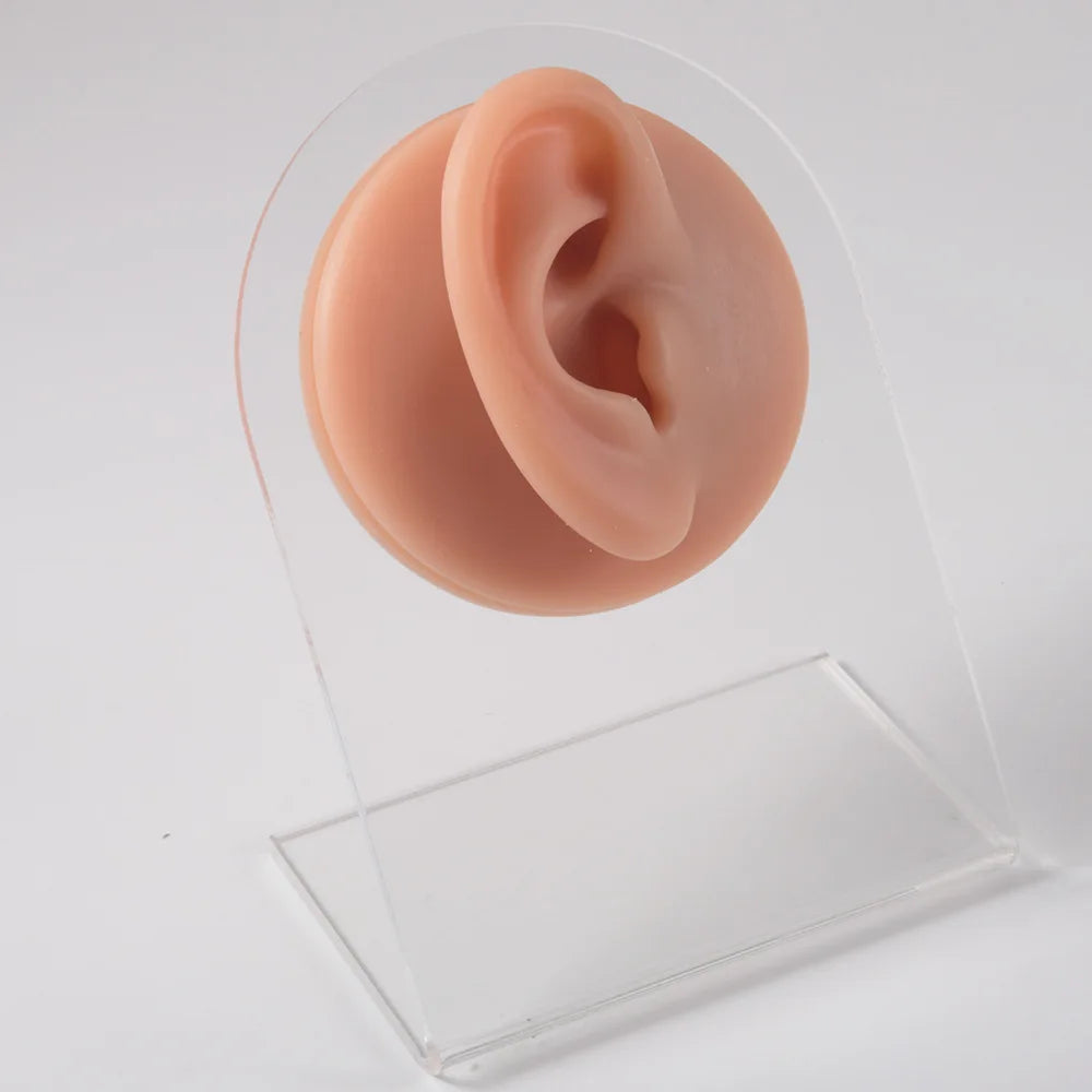 Soft Silicone 1:1 Simulation Body Piercing Practice Model – Ear, Nose, Navel & Nipple Display Stand for Jewelry Training & Teaching Accessories