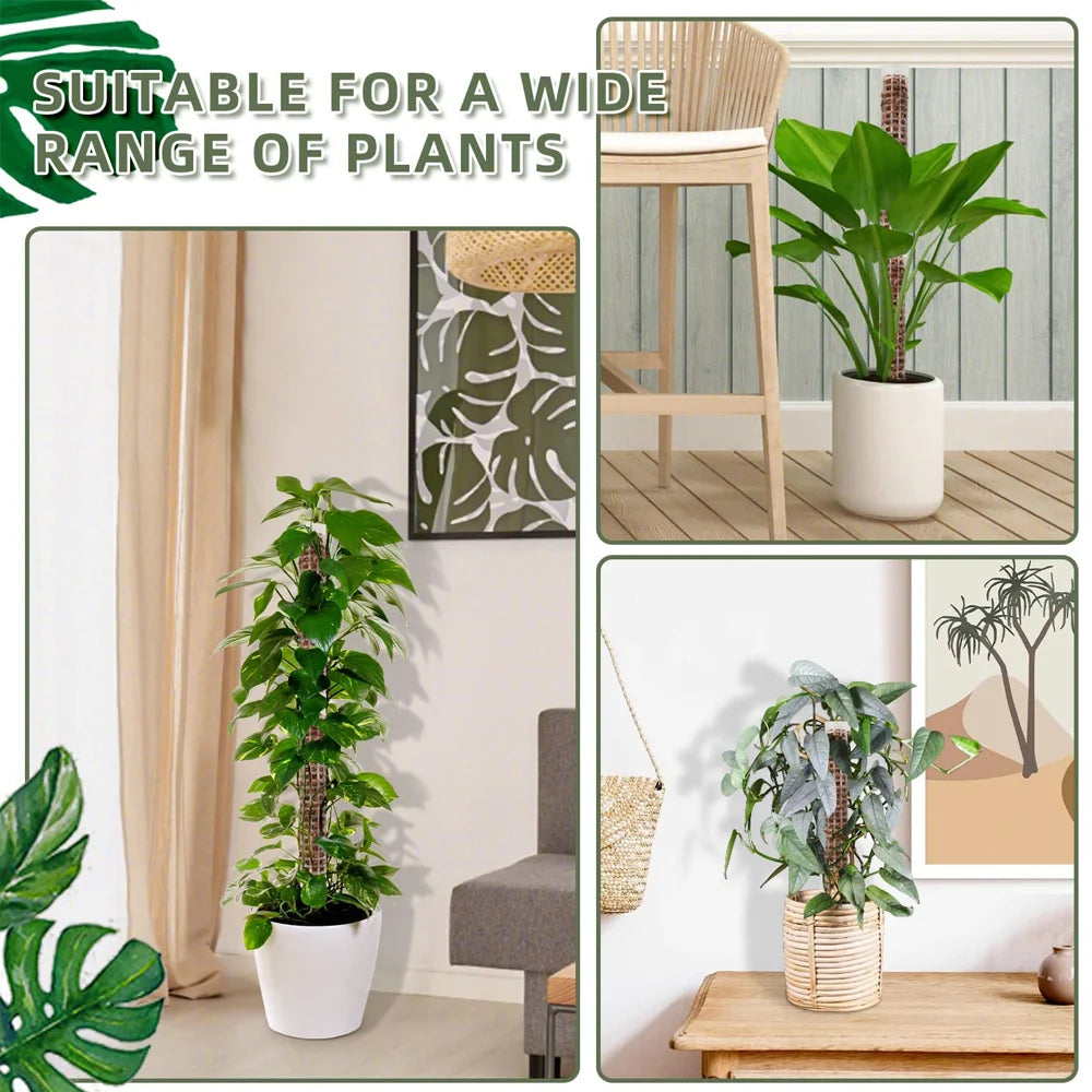 Plants Climbing Stick - Sphagnum Plant Support Trellis Frame - Water Moss Column Pole for Potted Flower Vines Climbing