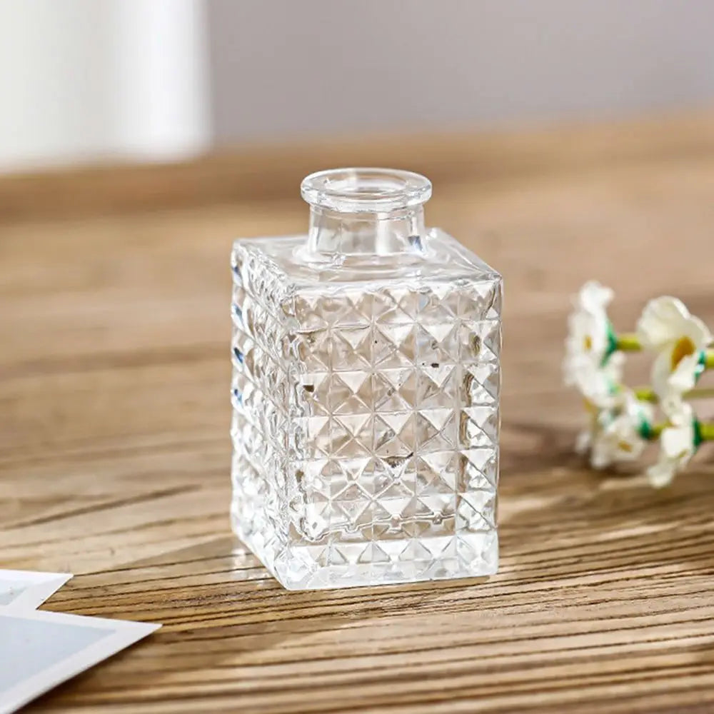Retro Hydroponic Transparent Glass Vase — INS Style Flower Vase for Desktop, Home, Wedding & Party Decoration