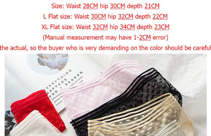 Summer Lace Underwear for Women - See-Through Briefs with Low Hollow Out Design - Pure Cotton Mid-Waist Crotch Underwear (SYTa007)
