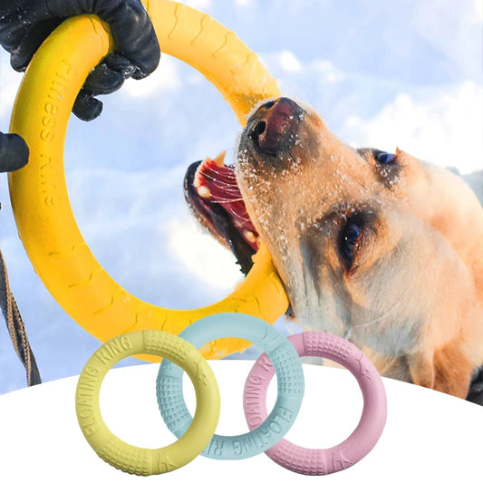 Dog Toy Training Ring Puller and Flying Disk – Interactive Chewing Toys for Puppies | Outdoor Game Supplies