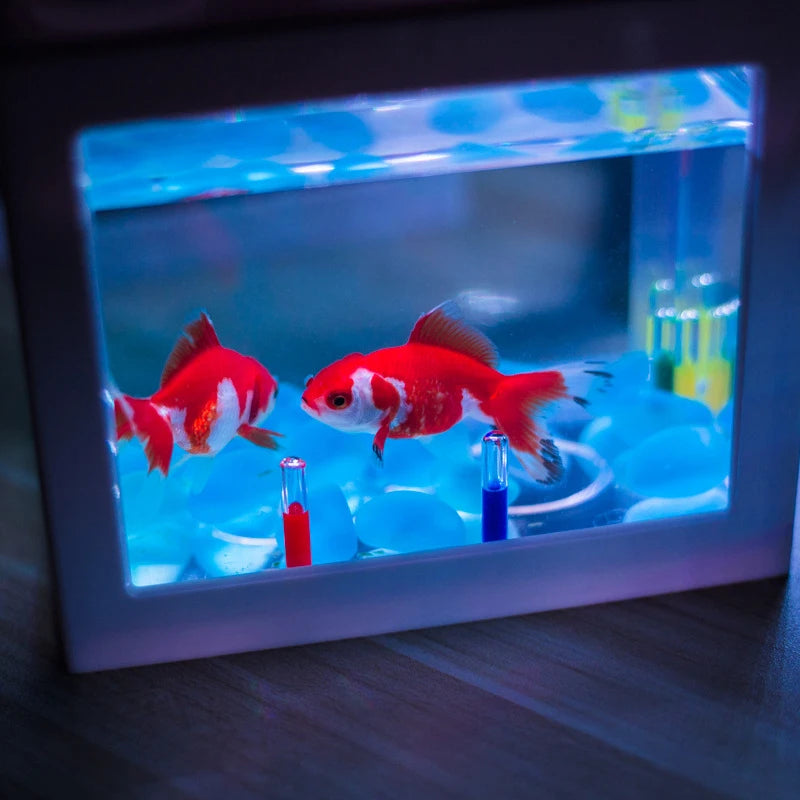 Creative Multicolor Stackable Mini Aquarium & Pet Box - Building Block Fish Tank for Reptiles, Insects & Small Pets