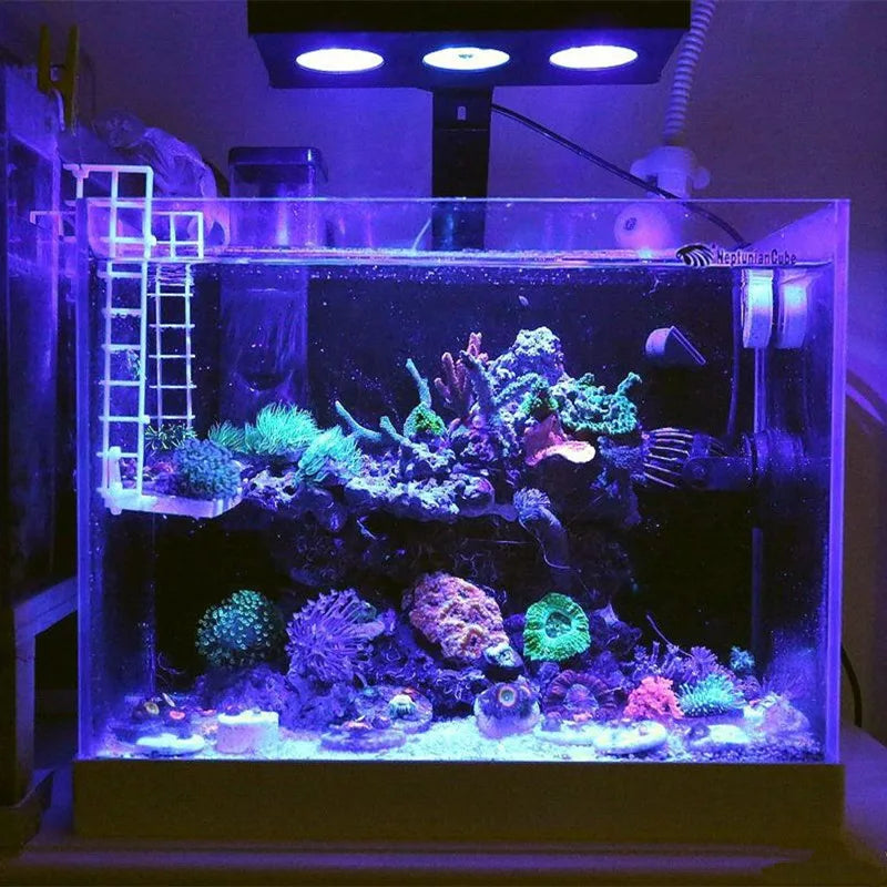 Spectra Nano 029 Aquarium LED Light - 30W Saltwater Reef Lamp with Touch Control for Coral & Fish Tank Lighting